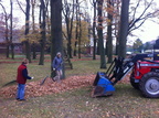 2011 11 19 Laubharkaktion und Erbseneintopf beim Backhaus 015